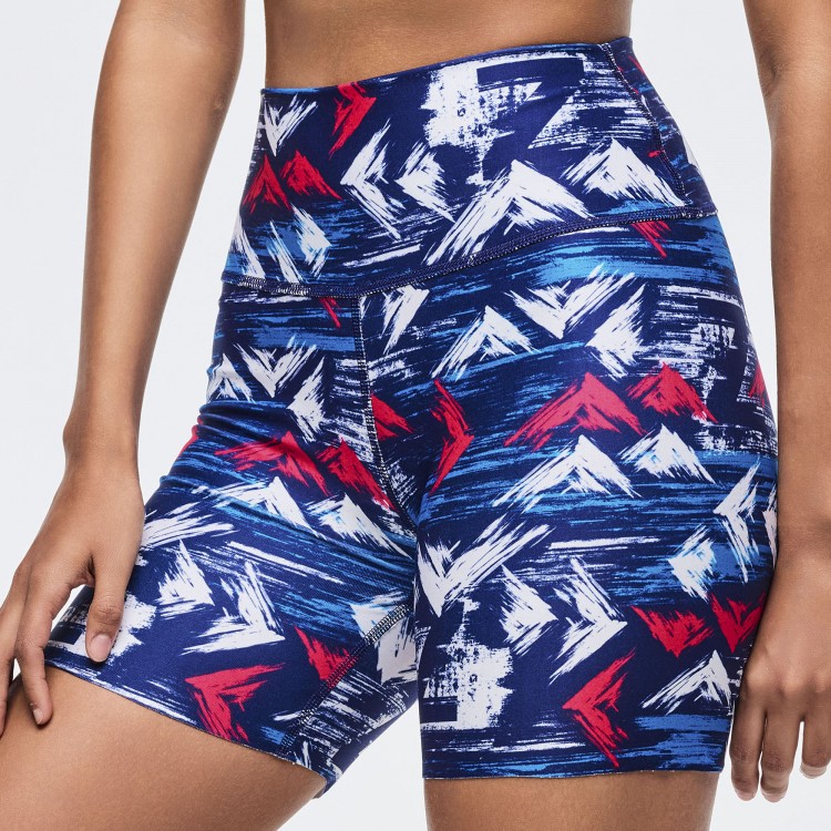 Apres Zumba High Waisted Biker Shorts